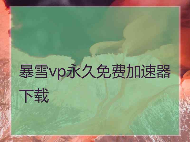 暴雪vp永久免费加速器下载