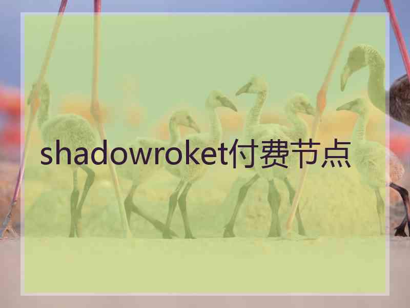 shadowroket付费节点