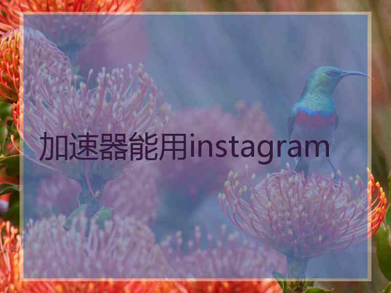加速器能用instagram