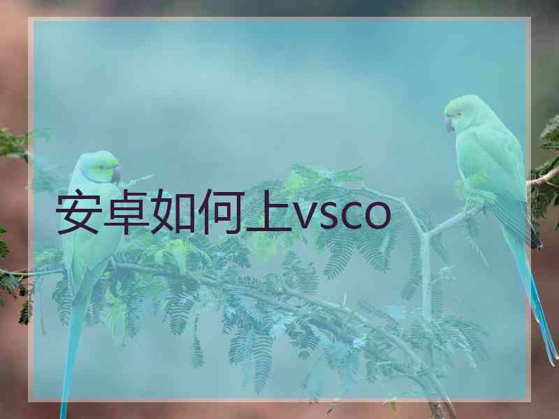 安卓如何上vsco