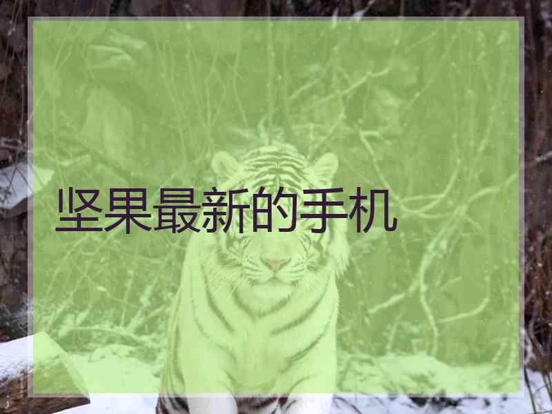 坚果最新的手机