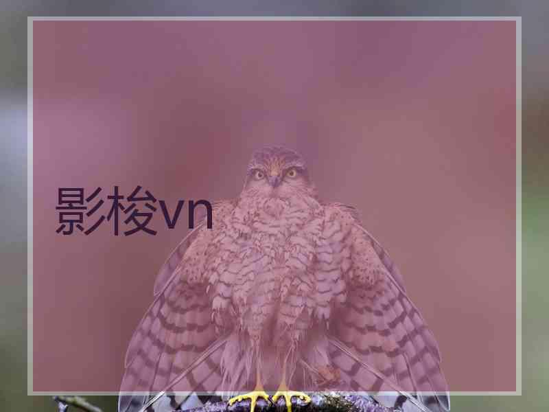 影梭vn