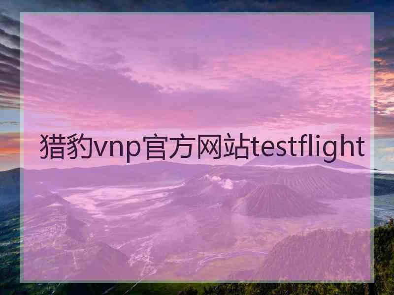 猎豹vnp官方网站testflight