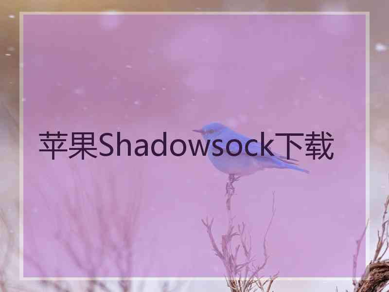 苹果Shadowsock下载