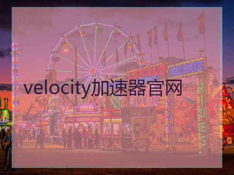 velocity加速器官网