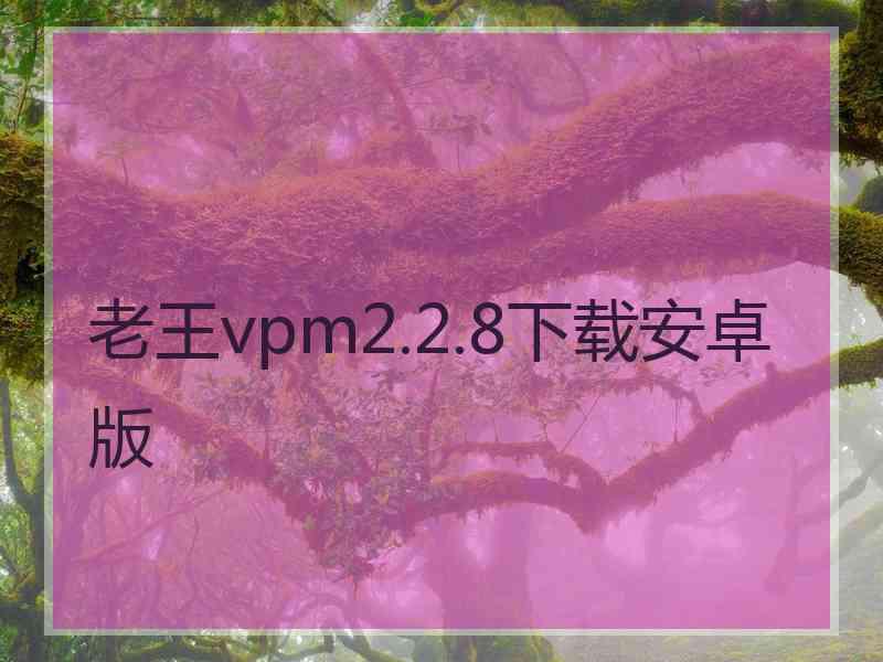 老王vpm2.2.8下载安卓版