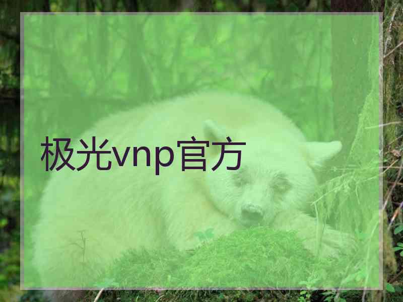 极光vnp官方