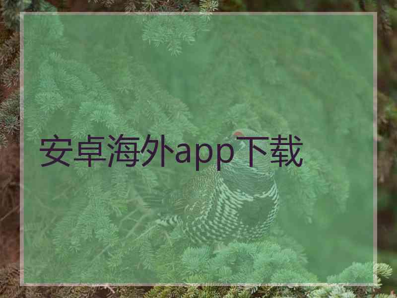 安卓海外app下载