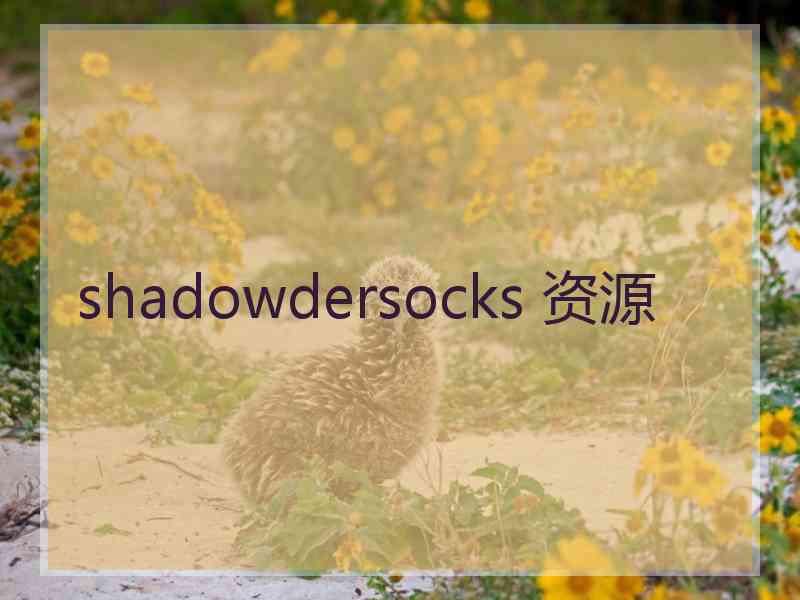 shadowdersocks 资源