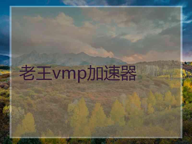 老王vmp加速器