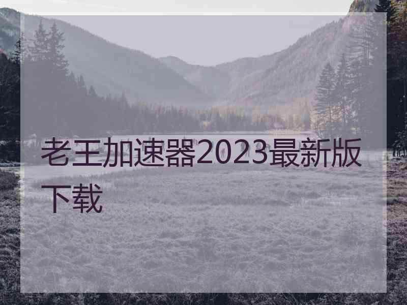 老王加速器2023最新版下载