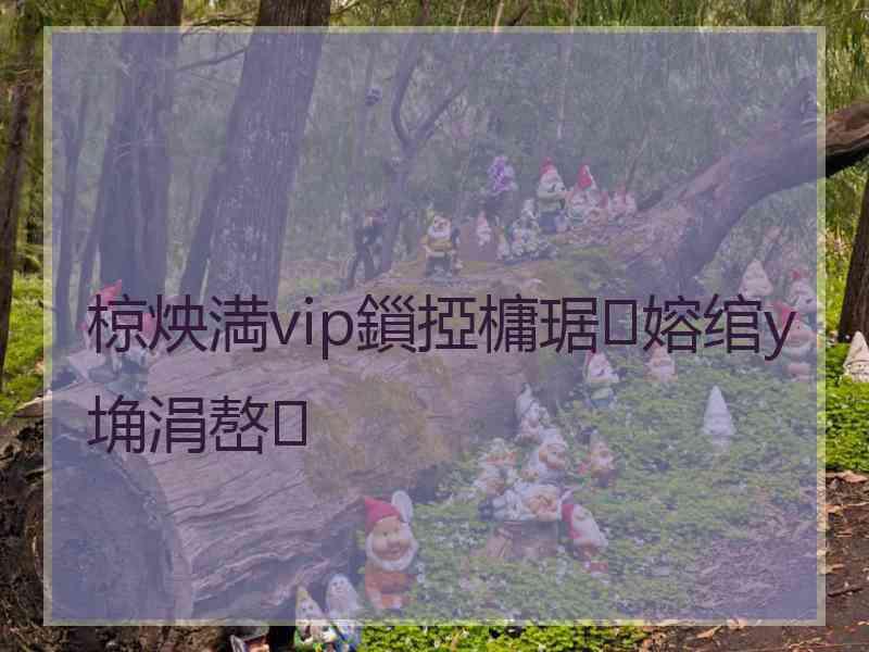 椋炴満vip鎻掗槦琚嫆绾у埆涓嶅
