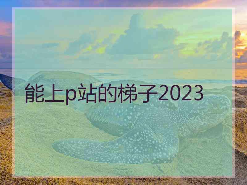 能上p站的梯子2023