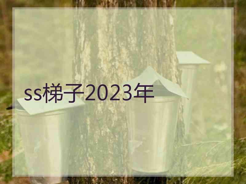 ss梯子2023年