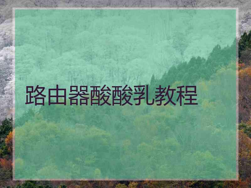 路由器酸酸乳教程