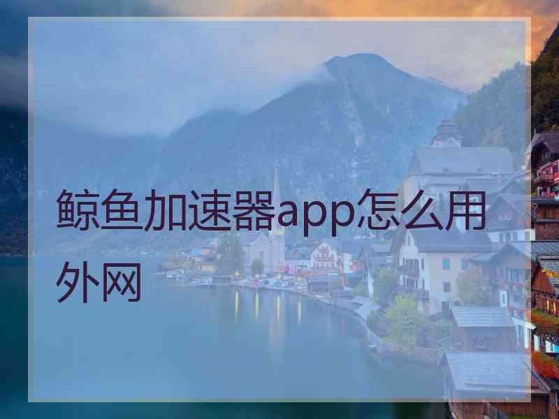 鲸鱼加速器app怎么用外网