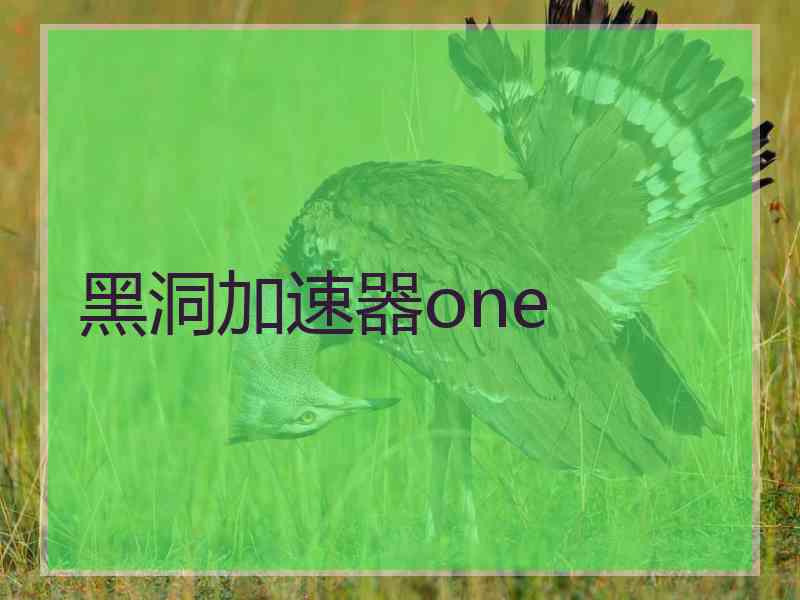 黑洞加速器one