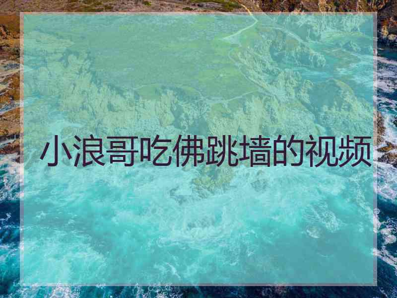 小浪哥吃佛跳墙的视频