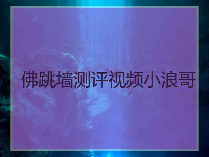 佛跳墙测评视频小浪哥