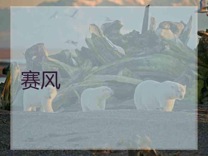 赛风