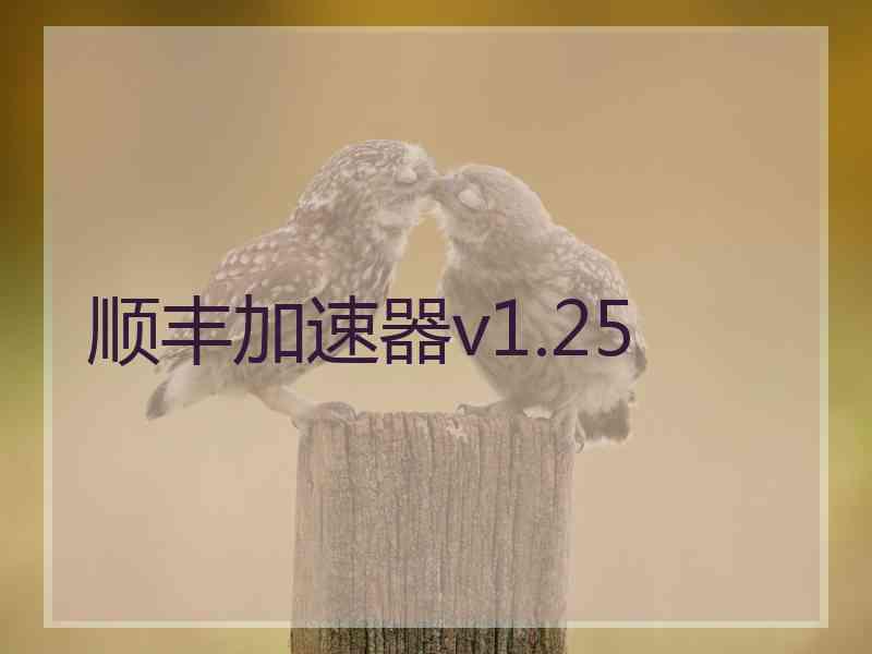 顺丰加速器v1.25