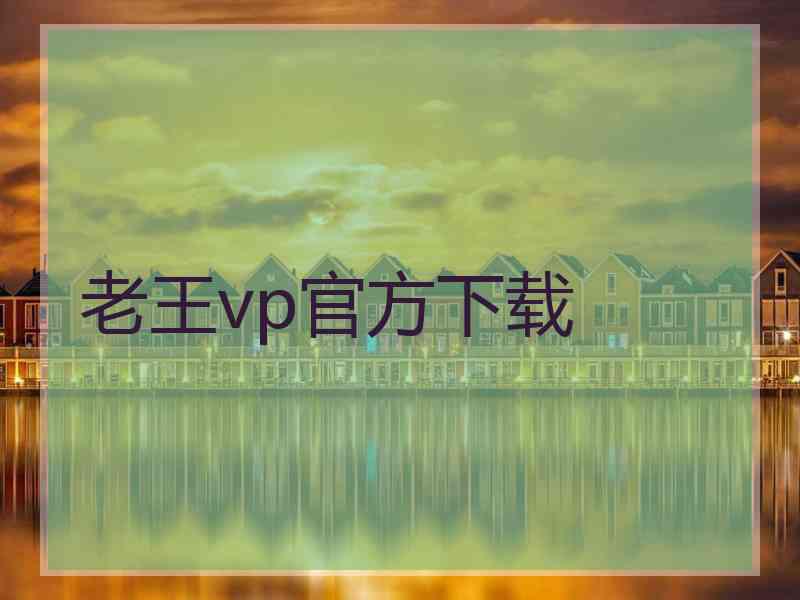 老王vp官方下载