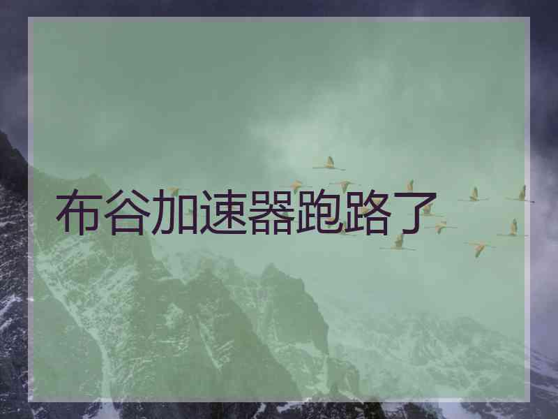 布谷加速器跑路了