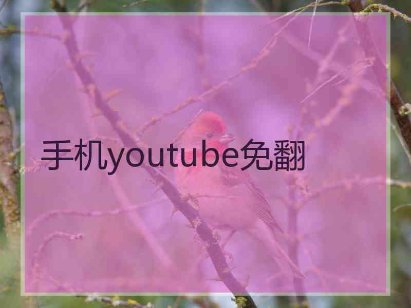 手机youtube免翻