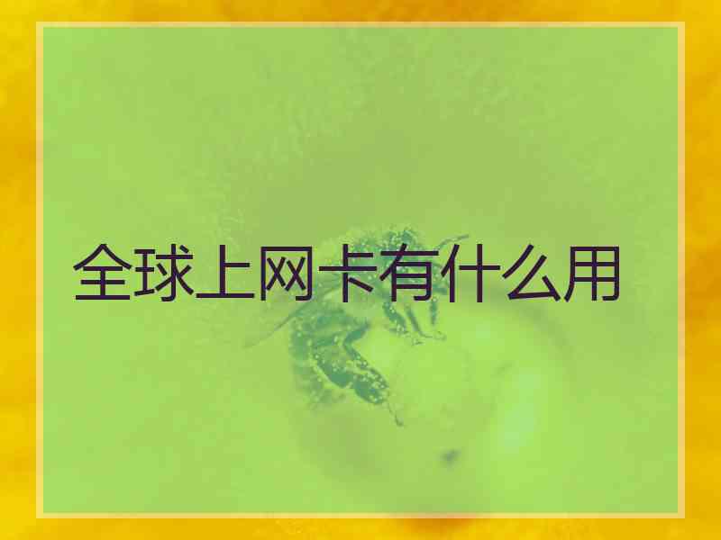 全球上网卡有什么用