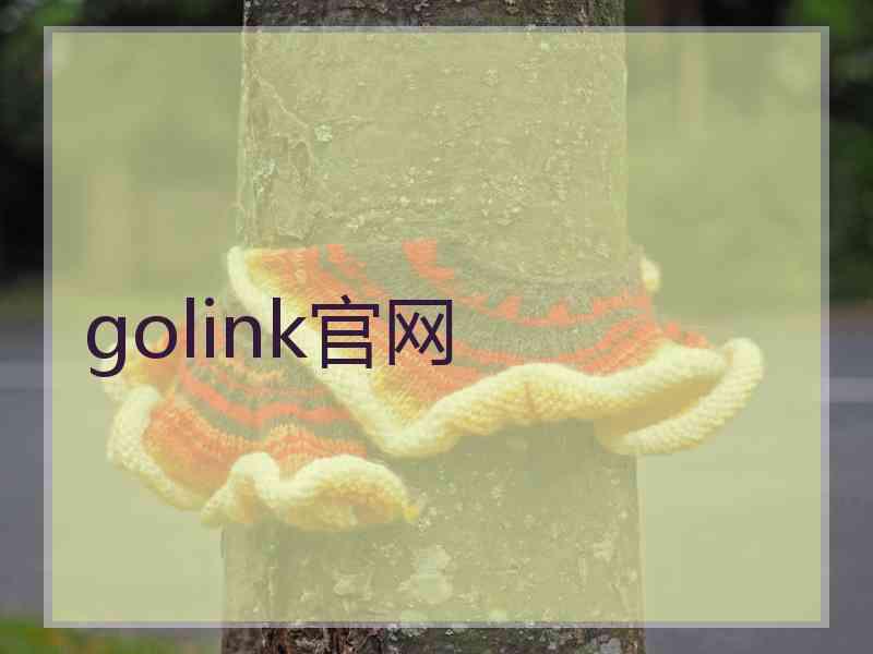 golink官网