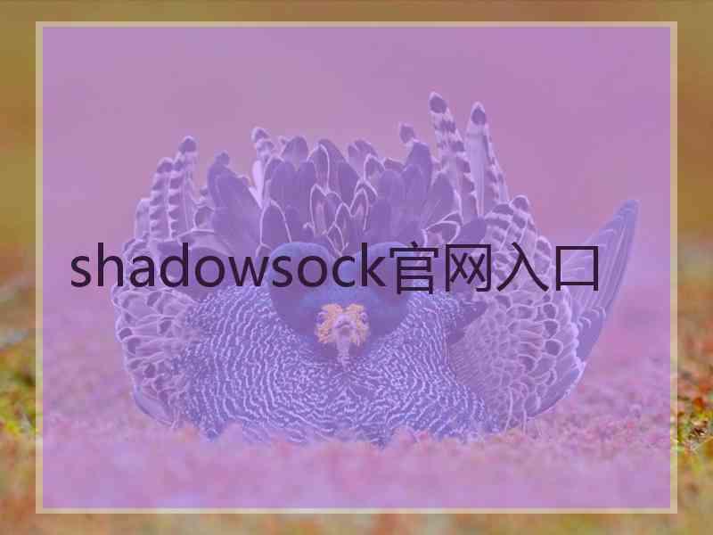 shadowsock官网入口