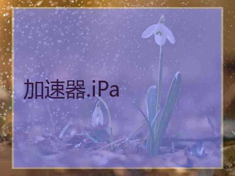 加速器.iPa