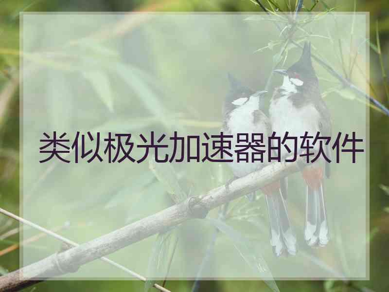 类似极光加速器的软件