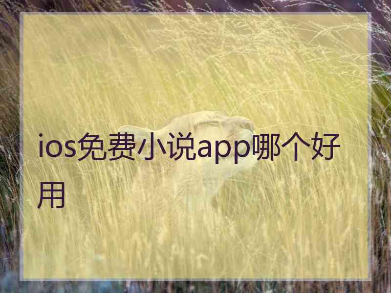 ios免费小说app哪个好用