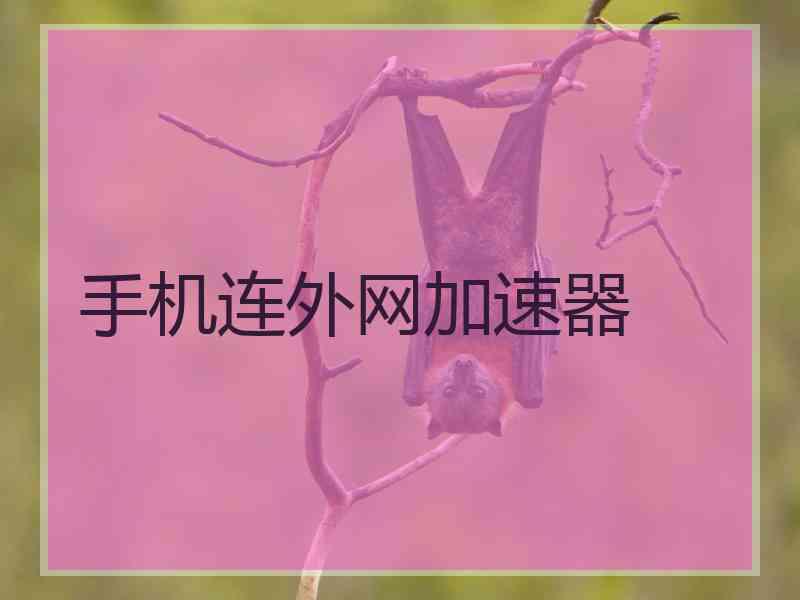 手机连外网加速器