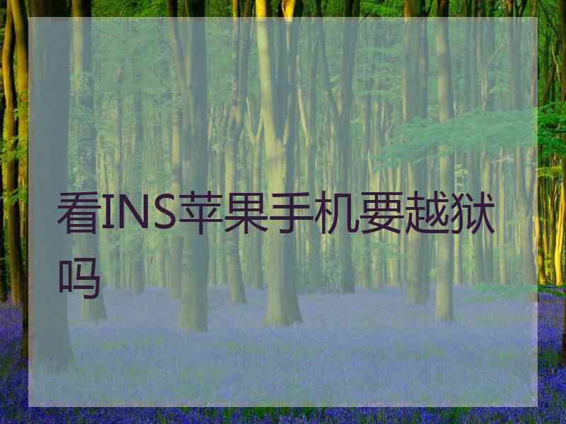 看INS苹果手机要越狱吗