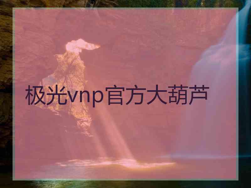 极光vnp官方大葫芦