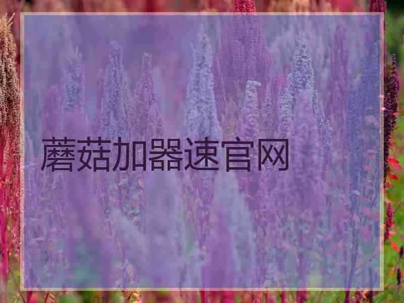 蘑菇加器速官网