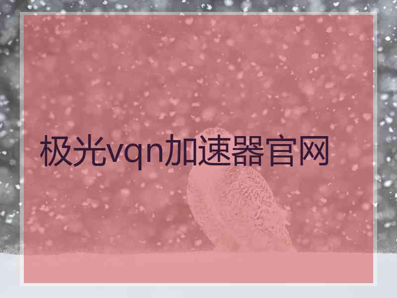 极光vqn加速器官网