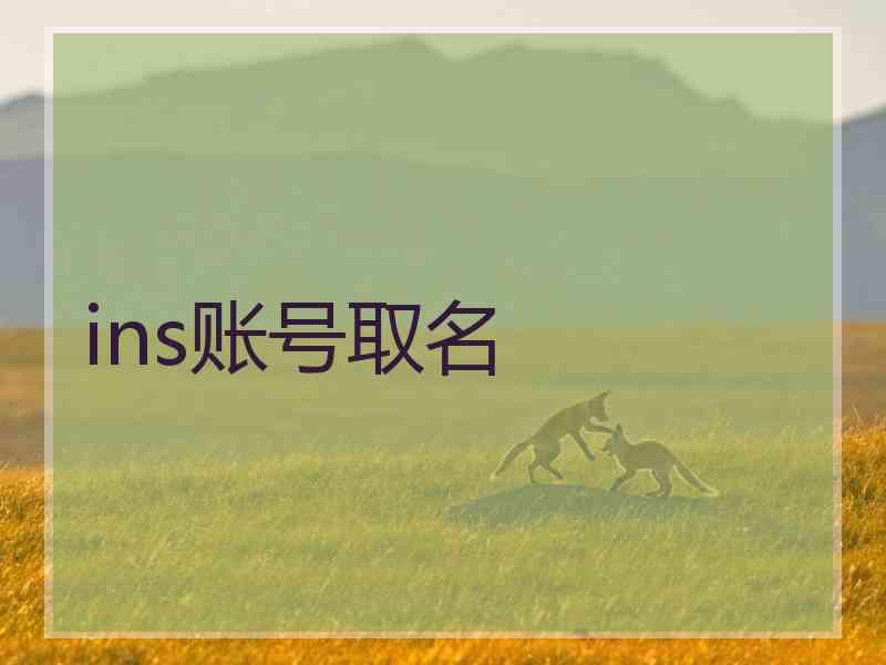 ins账号取名