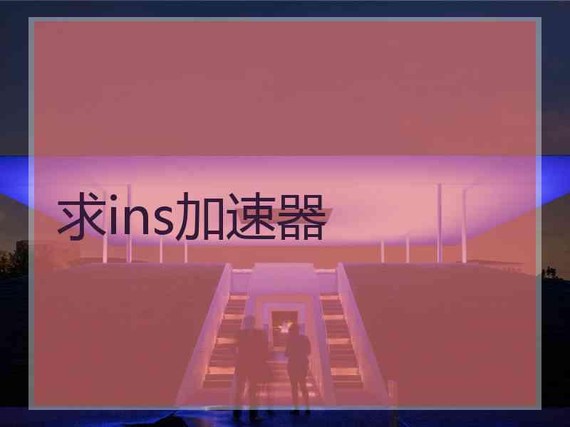 求ins加速器