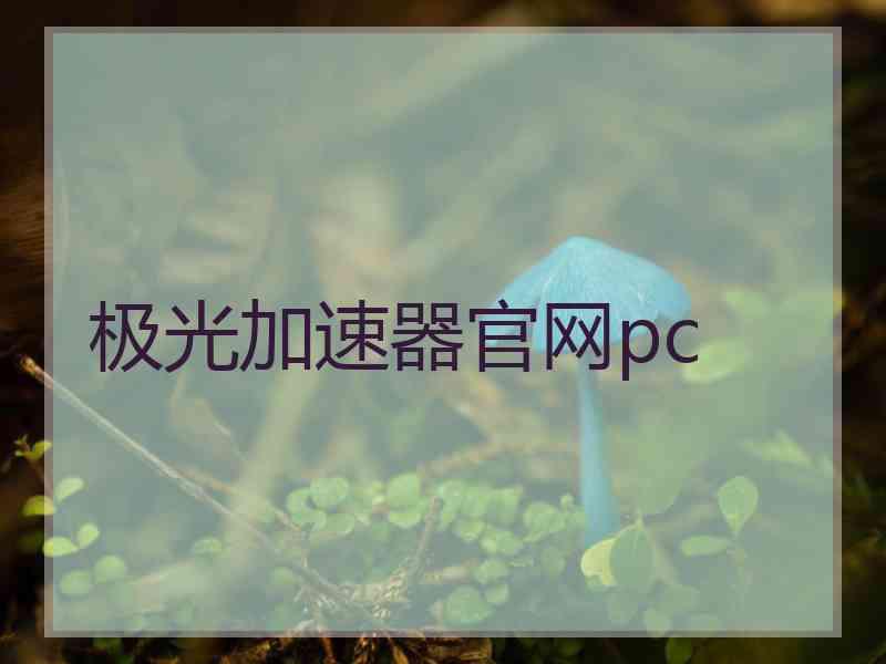 极光加速器官网pc