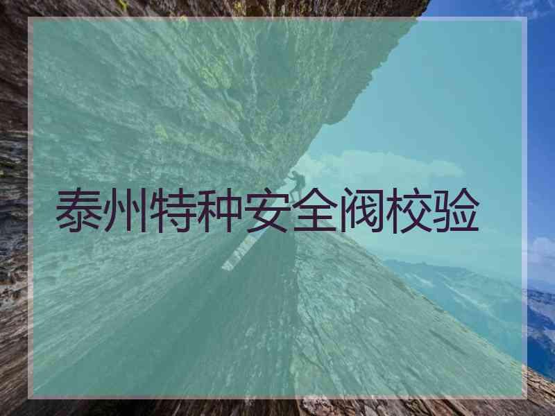 泰州特种安全阀校验