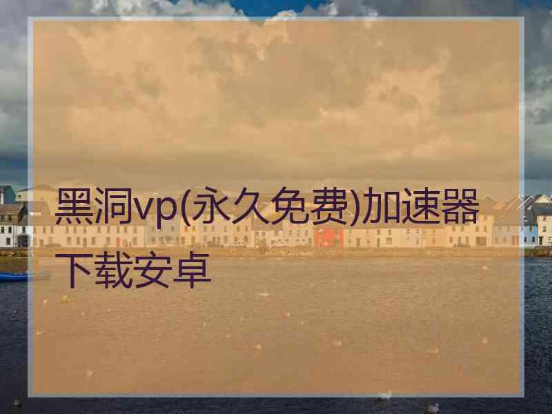 黑洞vp(永久免费)加速器下载安卓