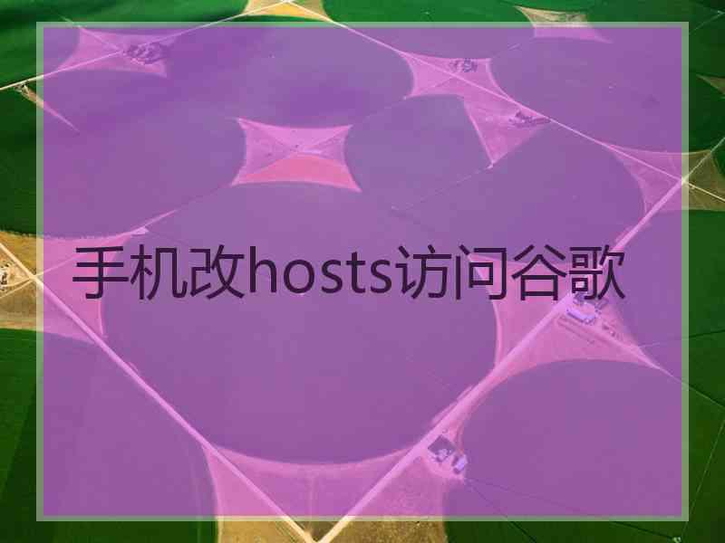 手机改hosts访问谷歌