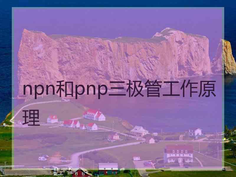 npn和pnp三极管工作原理