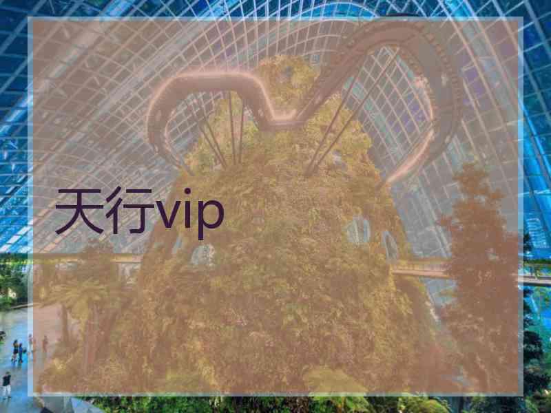 天行vip