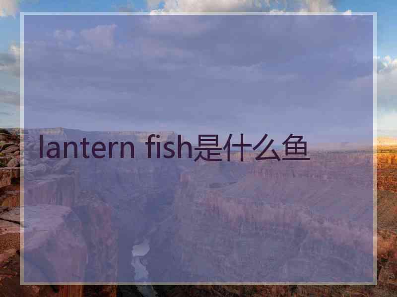 lantern fish是什么鱼