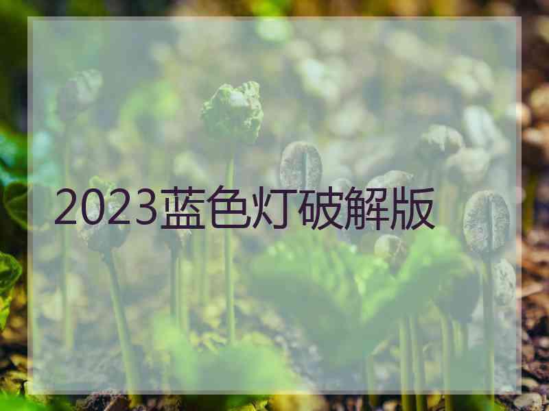2023蓝色灯破解版