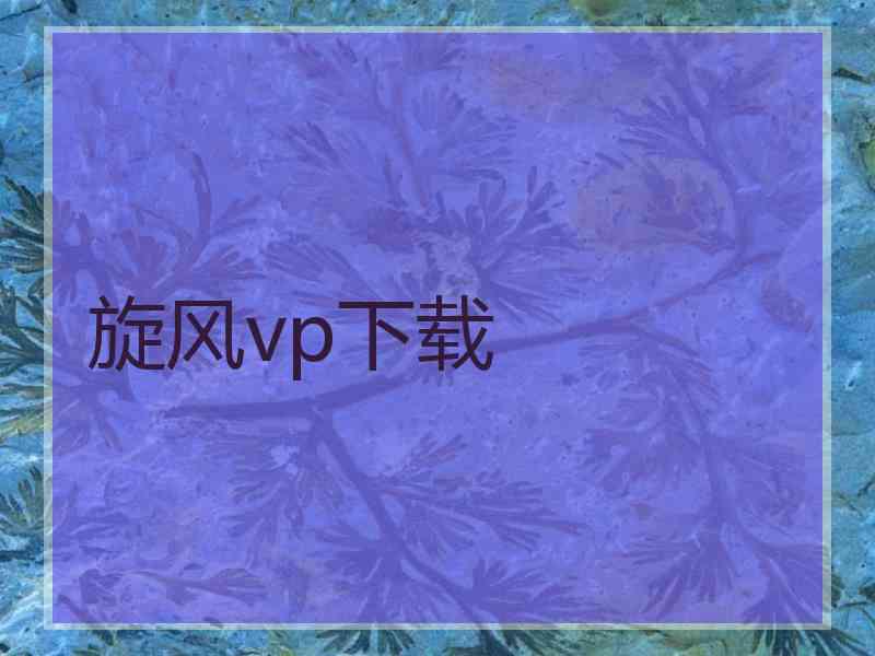 旋风vp下载